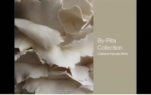 Un aperçu de l’ensemble de mon travail