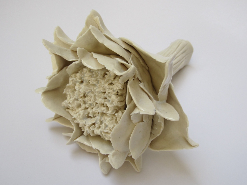 Fleur d&rsquo;artichaud